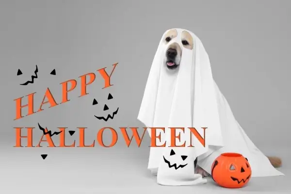 Happy Halloween from SMG Mortgage